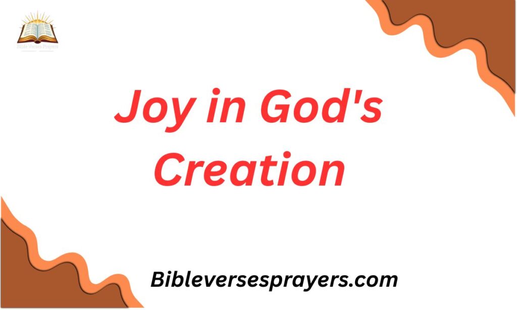 Joy in God's Creation