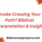 Snake Crossing Your Path? Biblical Interpretation & Insight