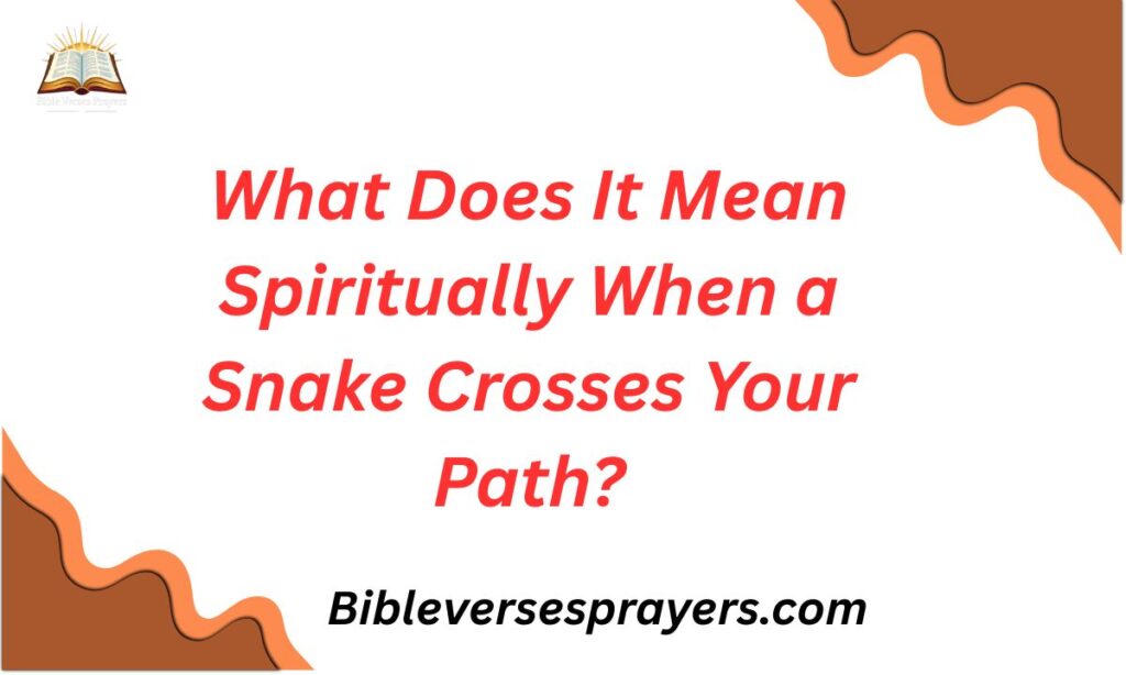 What Does It Mean Spiritually When a Snake Crosses Your Path?
