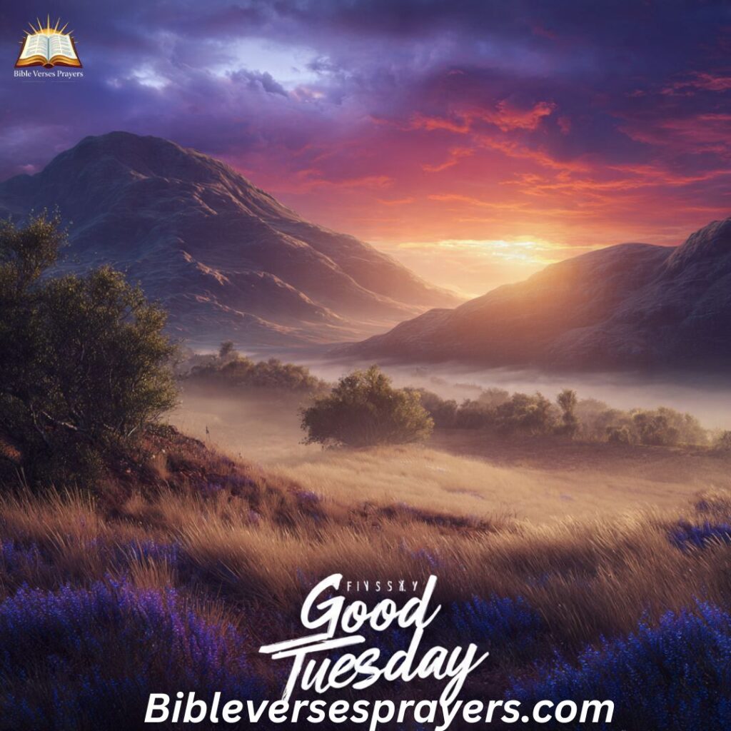Good Morning Blessed Tuesday 🌈
