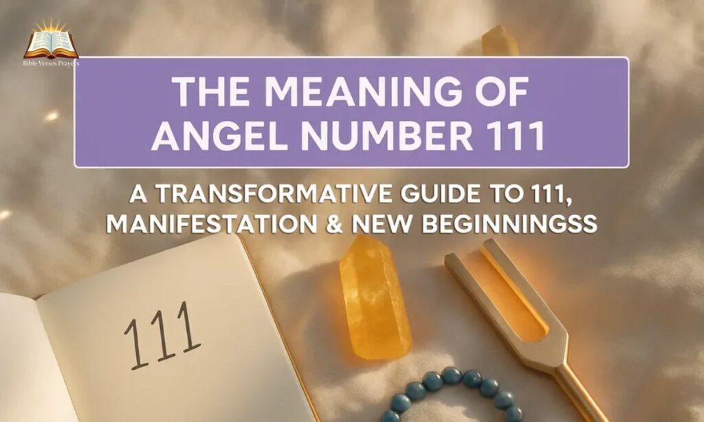 111 in Health: A Call for Harmony